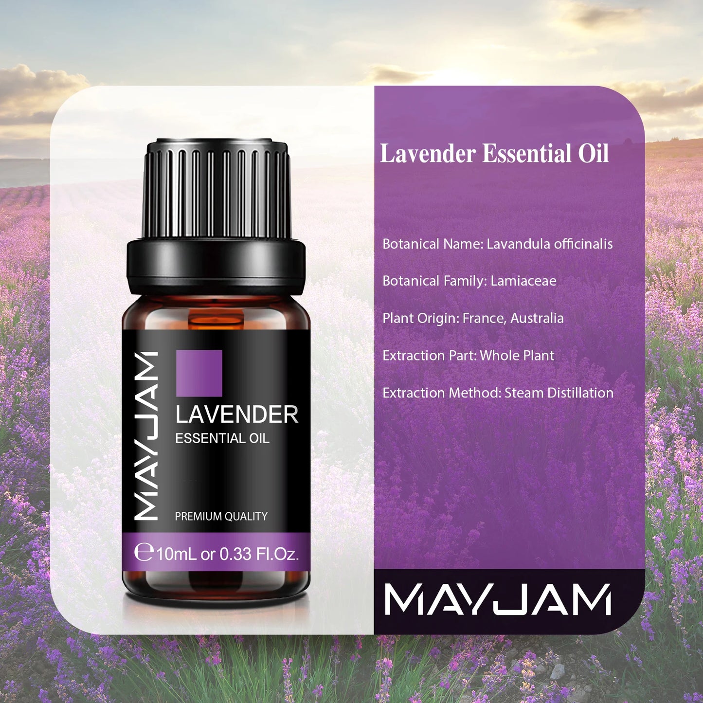 Premium Essential Oil Collection